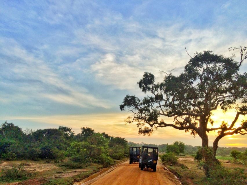 yala-national-park-private-safari-at-golden-hours
